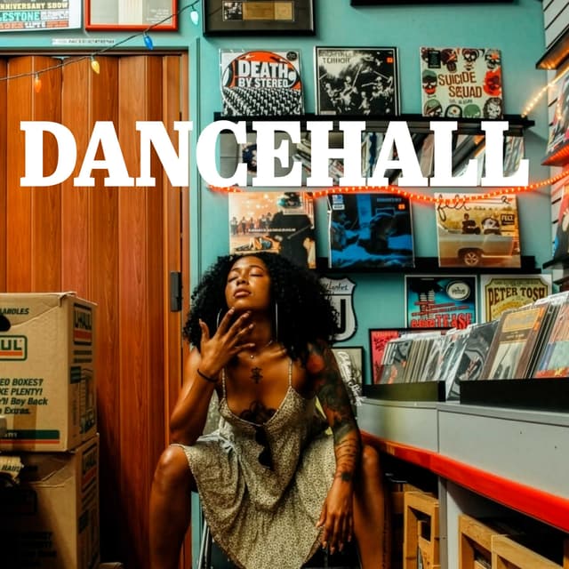 Top Reggae Dancehall Mixes