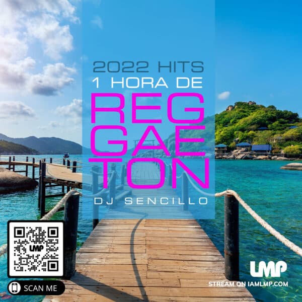 LMP Mixes 0409 : 1 Hora De Reggaeton : Download LMP DJ In The App Store