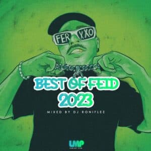 Best of Feid Mix 2023