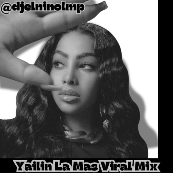 Yailin La Mas Viral Exitos Mix