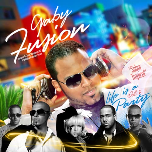 Life Is A Party Volume 2 (2011)