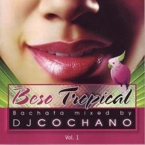 Beso Tropical : Bachata Hits Non-Stop Part 2