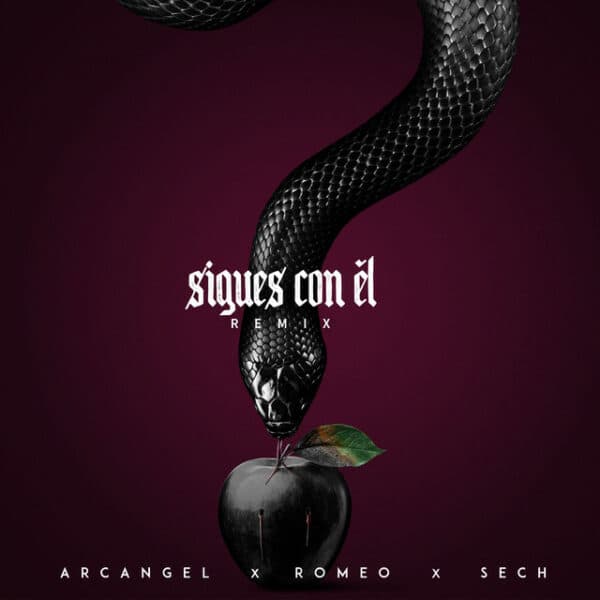 Sigues Con El (Official Remix)