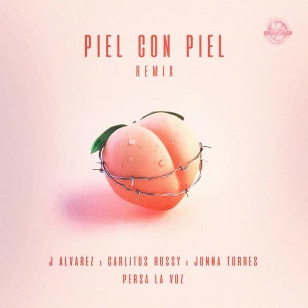 Piel Con Piel (Official Remix)