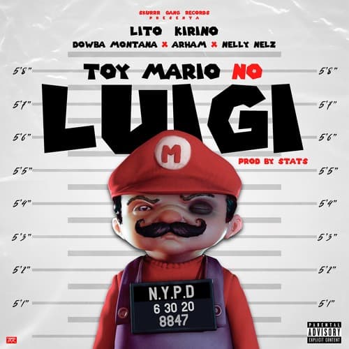 Toy Mario No Luigi