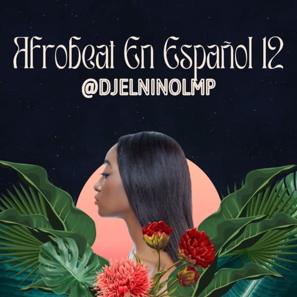 Afrobeat En Español 12