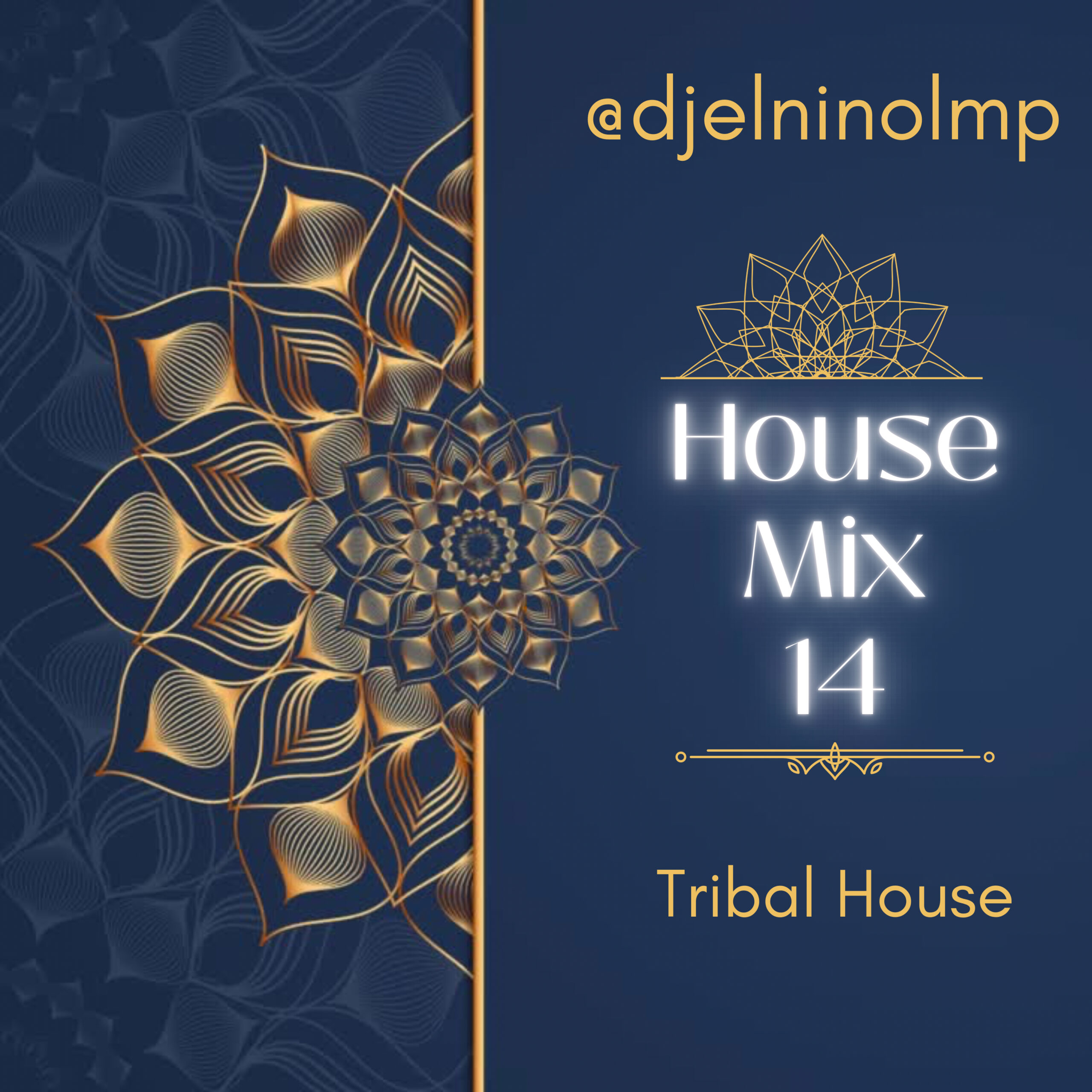 DJ El Nino - House Mix 14 (Indian Tribal Tech House)
