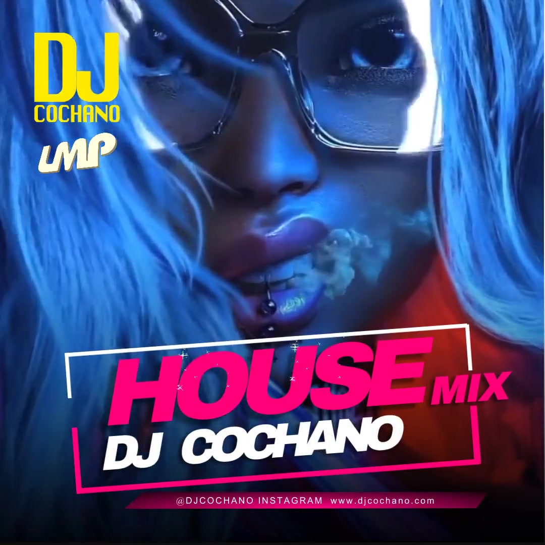 DJ Cochano - House Mix February 2024