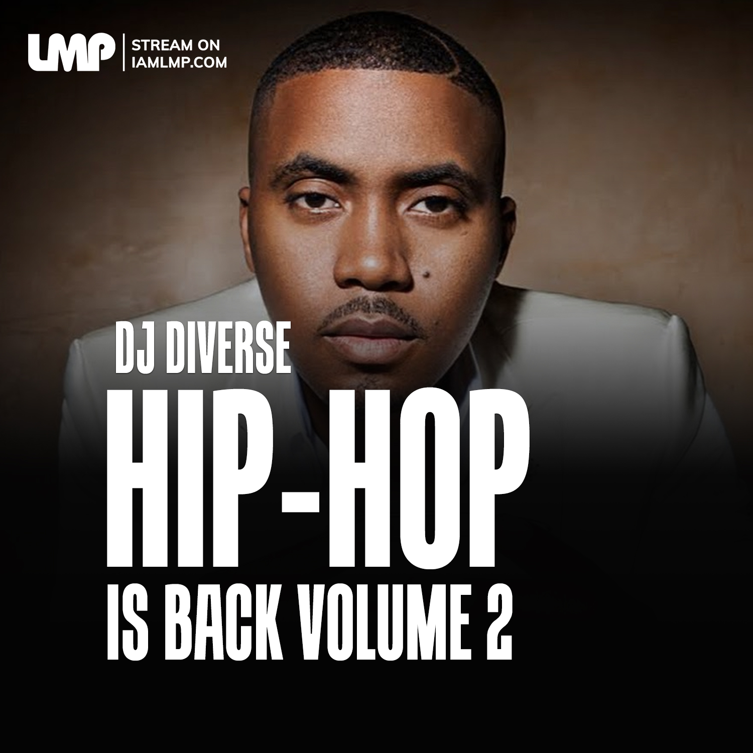 DJ Diverse - Hip-Hop is Back Volume 2