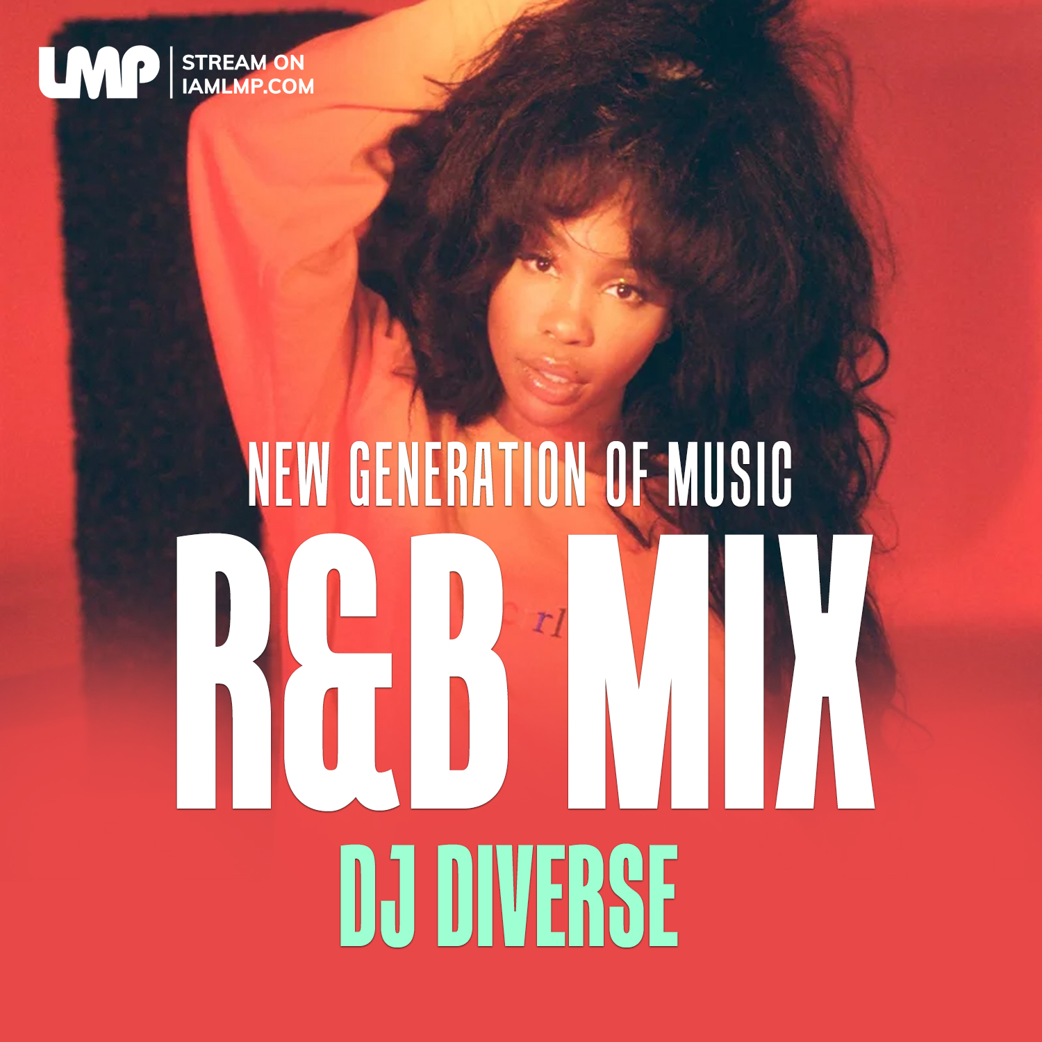 DJ Diverse - R&B Mix 2024