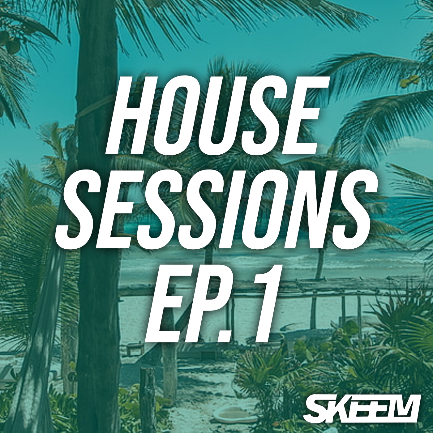 DJ Skeem - House Session Ep 001