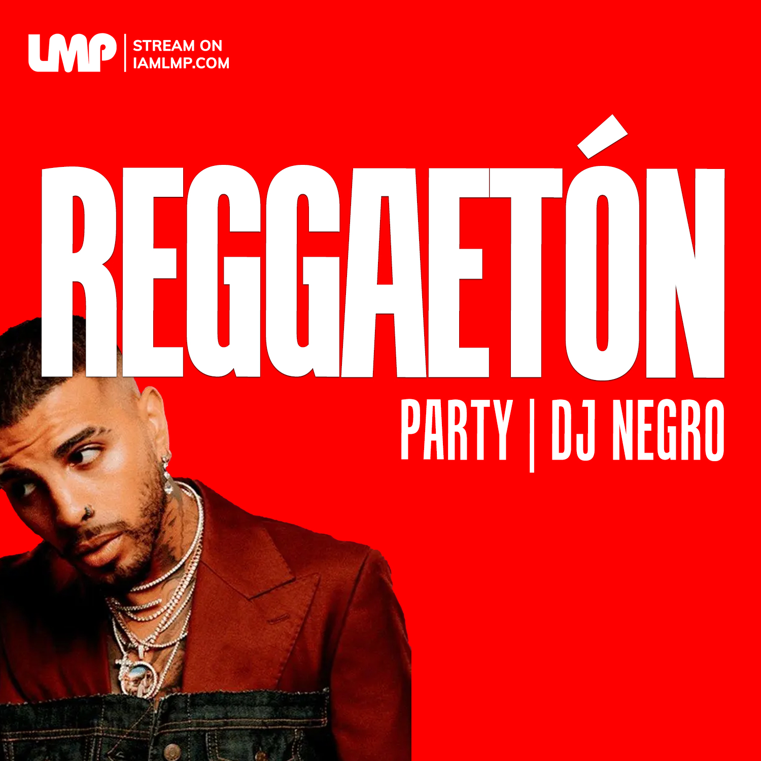 DJ Negro - Reggaeton Mix En Vivo 2025